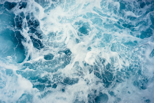 Clean offshore energy made possible by nature-inclusive designs