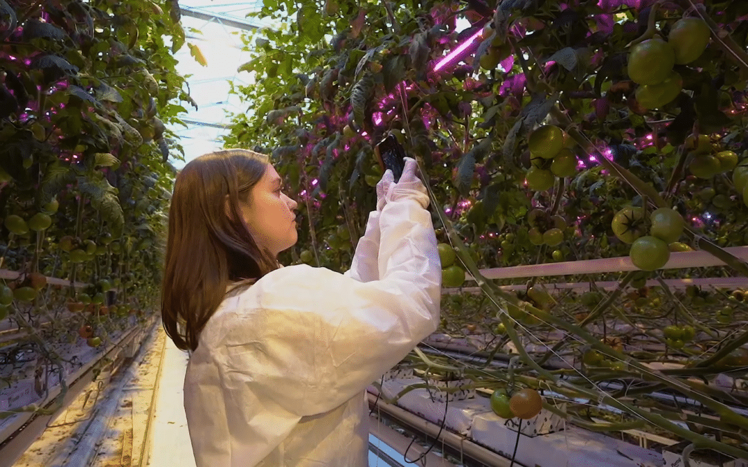 Biobest: Natural solutions to optimise global sustainable crop yields
