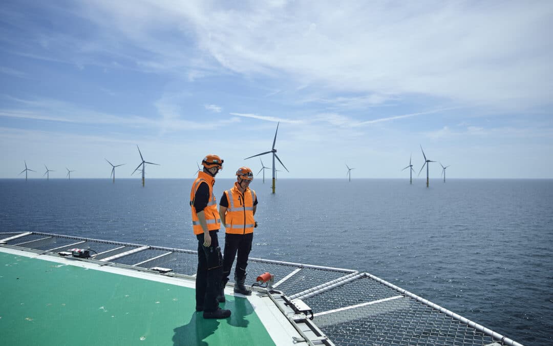 50Hertz: Inspiring an Energy Revolution Across a Traditional Industry
