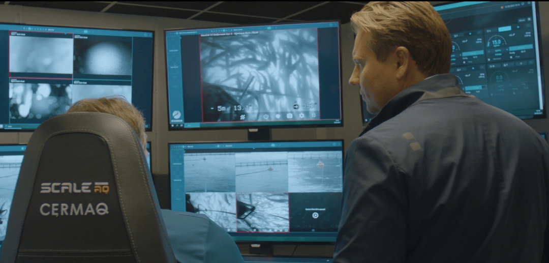 Using technology to boost aquaculture’s productivity and sustainability