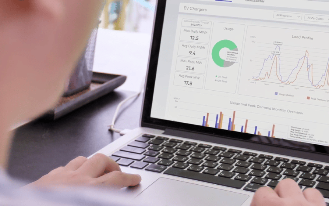 The software company creating connections for a greener grid