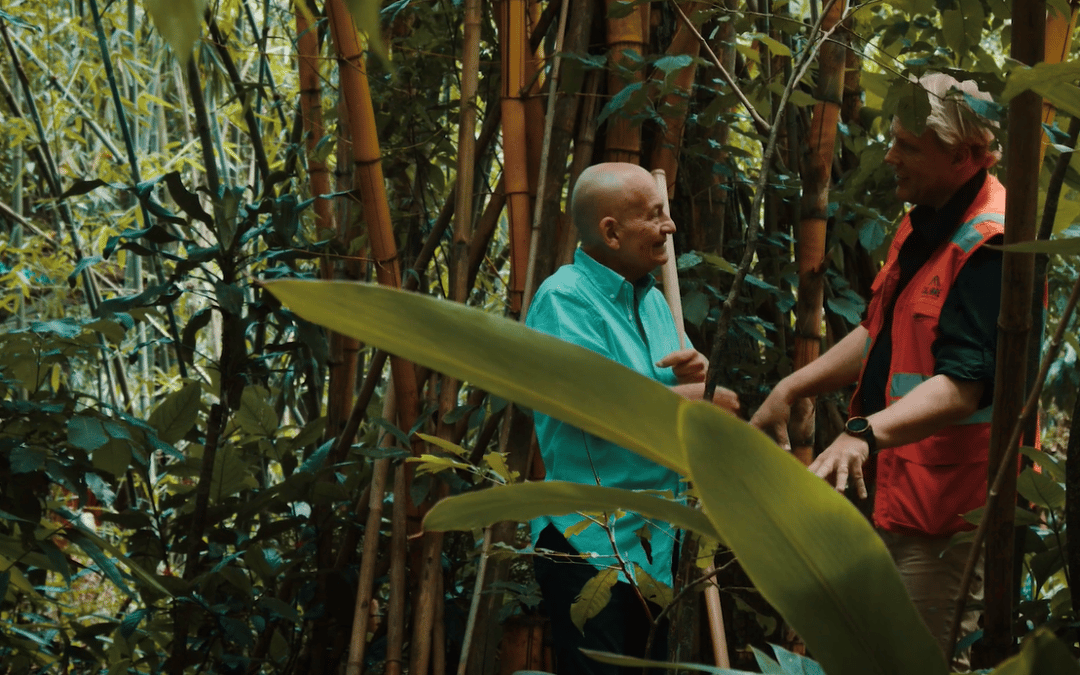 Discover How Calibre Mining is Preserving Biodiversity in its Areas of Operation
